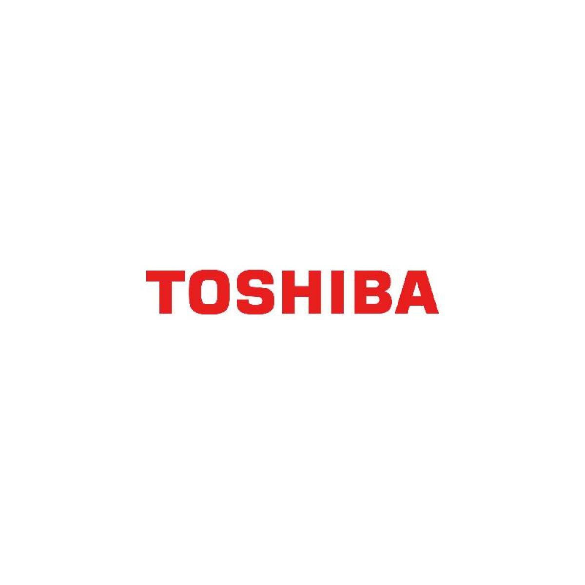 Toshiba Canvio Flex Excl 1TB Warm Silver